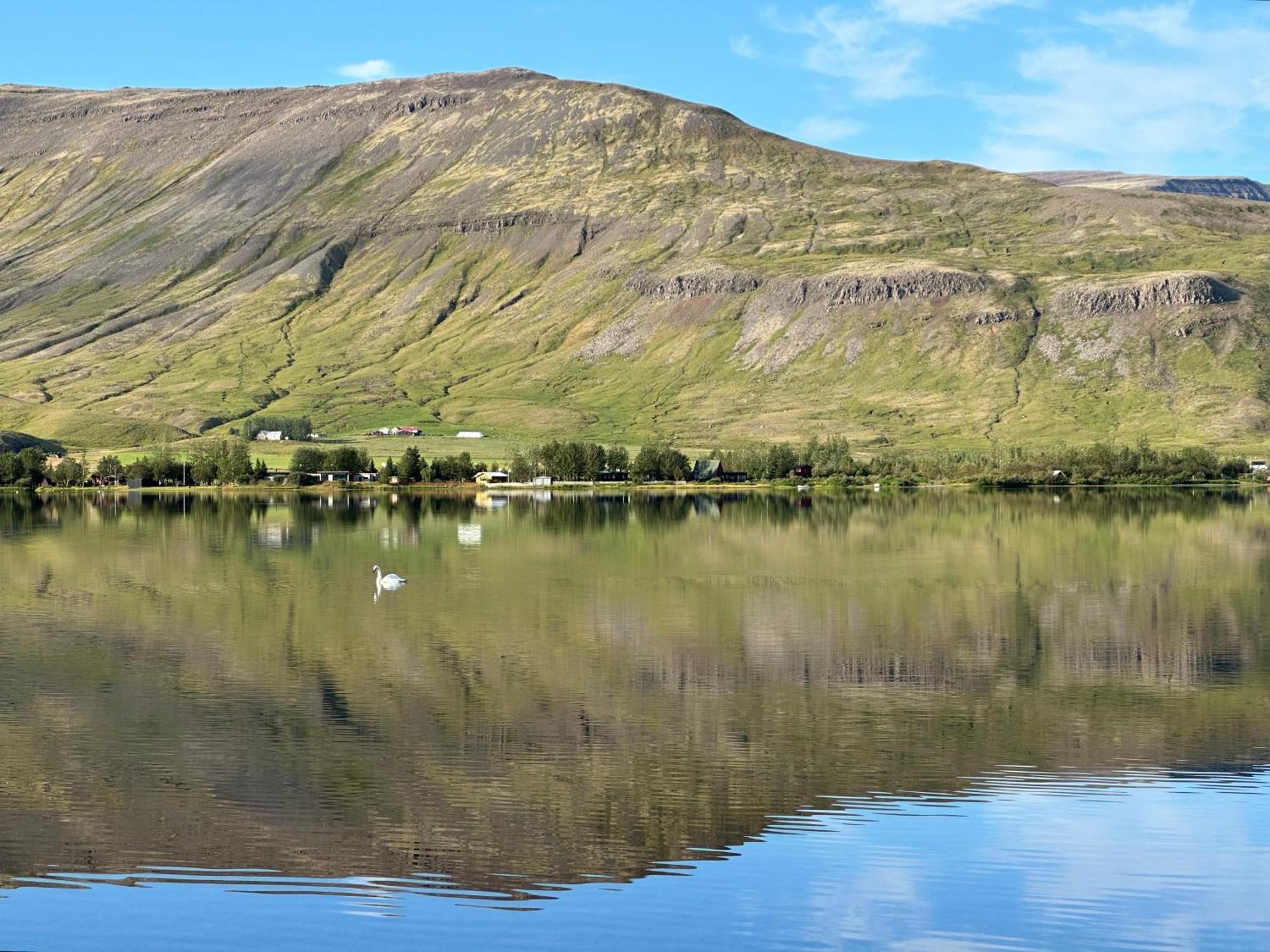 Cosy Lakeview Cabin 45 Minutes From Reykjavik Mosfellsbaer Ngoại thất bức ảnh